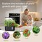 Indoor Hydroponic Growing System with LED Grow Light, Quiet Smart Water Pump, 5 Pods, Automatic Timer, Perfect for Herbs, Vegetables and Fruits